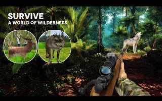 koala hunter x hunter 2016