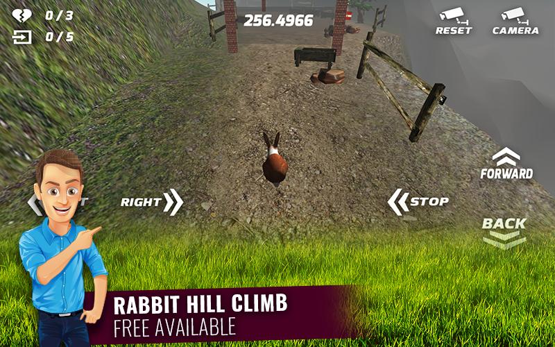 Cute Rabbits Game
