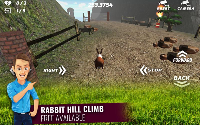 Cute Rabbits Game