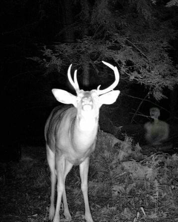 Ghost Detector Cam Prank