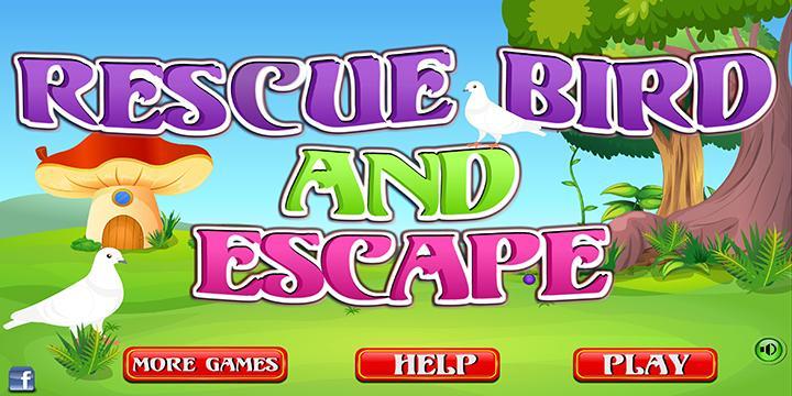 Escape Game L05 - Rescue Bird