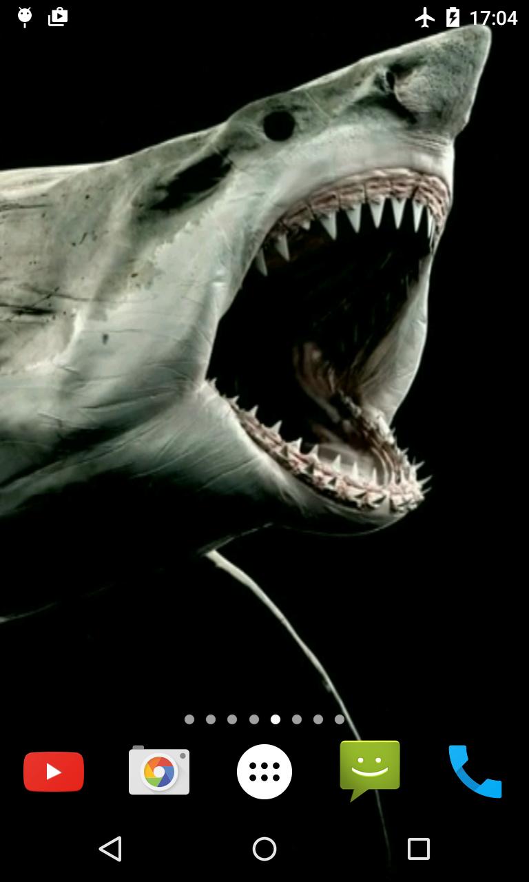 Shark 4K Video Live Wallpaper
