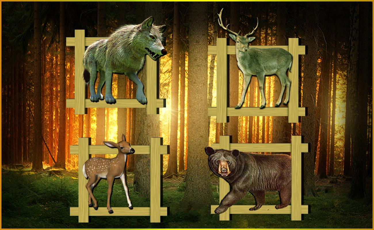 Real Jungle Hunting Animals