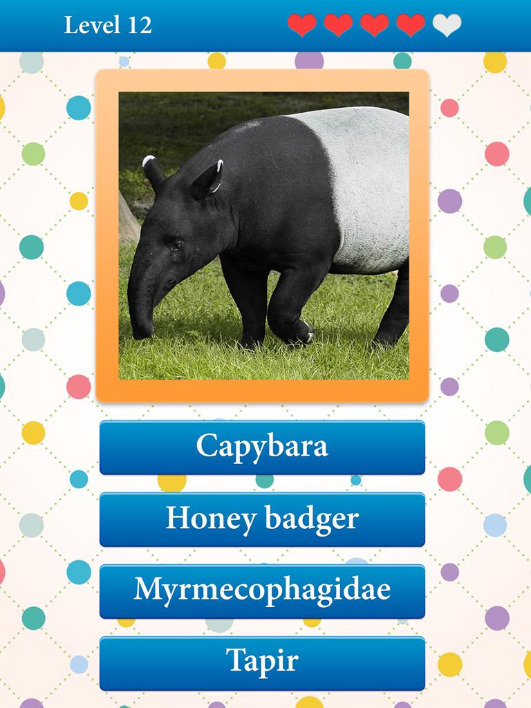 What is the name of an animal?