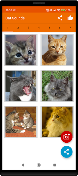 Meow Maker: Cat Sounds for Cat