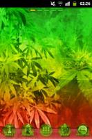 GO Launcher EX Theme Rasta