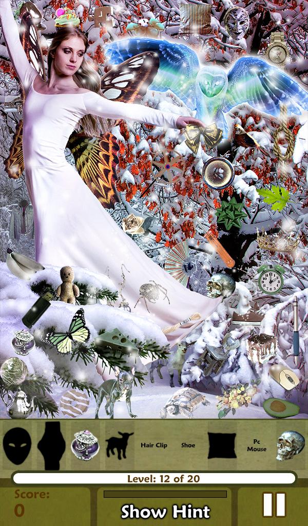 Hidden Object - Frost Fairies