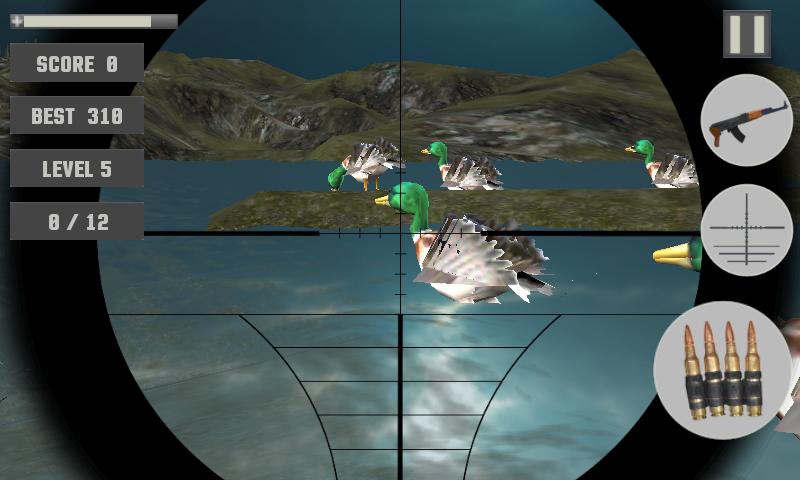 Sea Duck Hunter