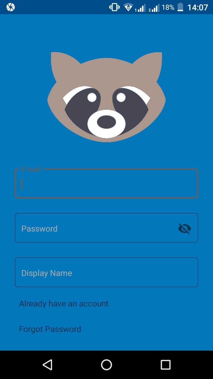Racoon Chat