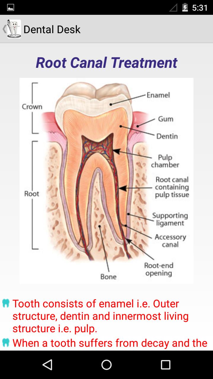 Dental Desk