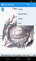 Gray's Anatomy Lite