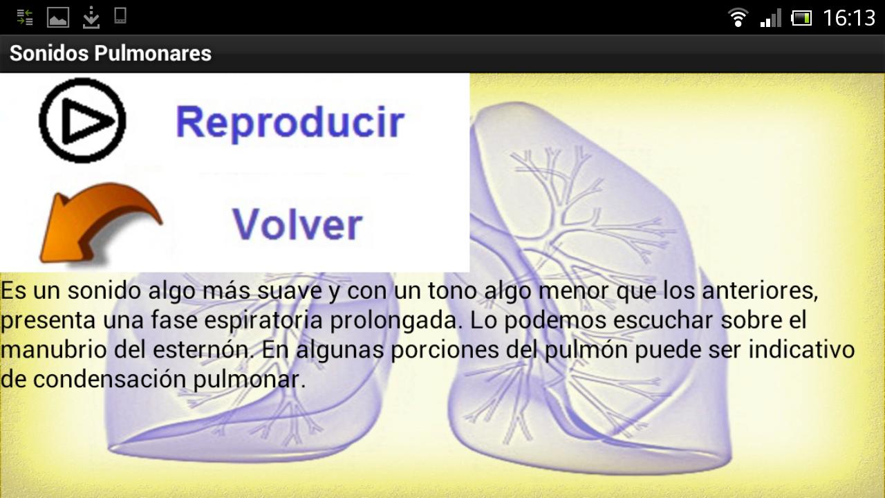 Sonidos Pulmonares