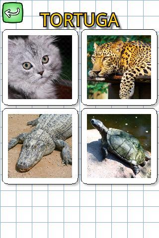 Animals in spanish