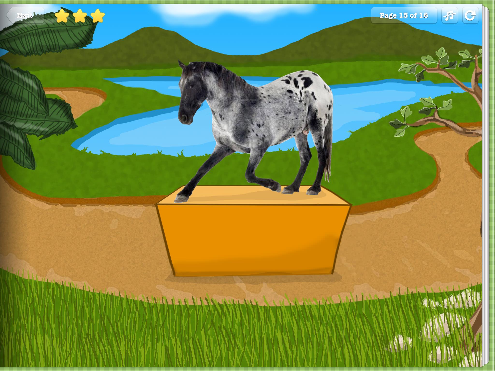 Kids Animal Zoo