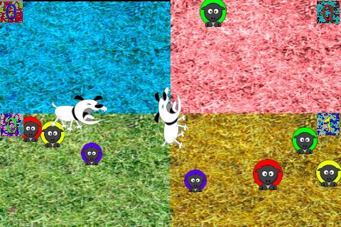 Sheep